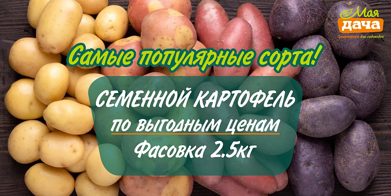 Самые популярные сорта (Картофель)