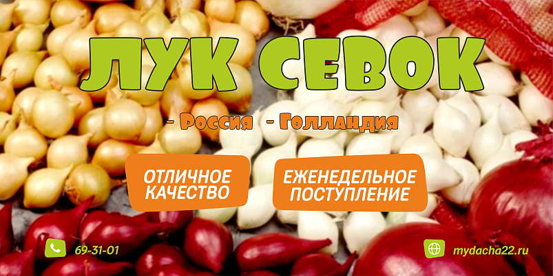 Лук севок