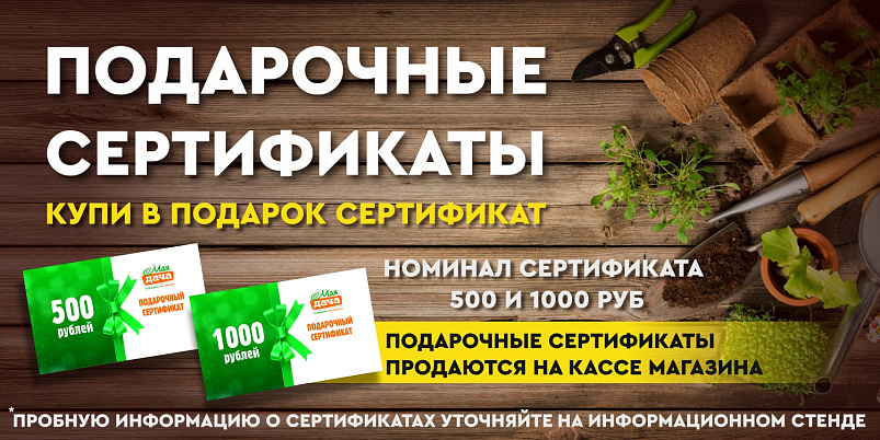 Подарочные сертификаты