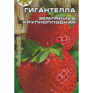 Клубника Гигантелла (50-60г) (Сиб Сад)