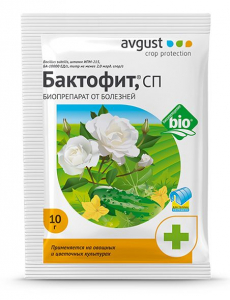 Бактофит 10г /Август