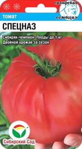 Томат Спецназ выс. до 1,5м, до 1кг (Сиб сад)