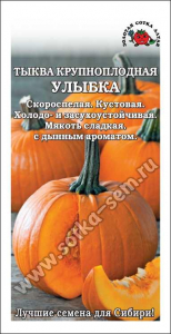 Тыква Улыбка /Сотка/ 2 г