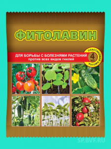 Фитолавин 4мл пакет /ВХ от болезней