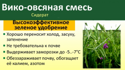 Вико-овсяная смесь/Сем Алт/  500 гр. серия 'Эко Сад' (1/20)Полипропилен