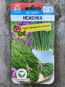 Лук Шнитт Неженка (СибСад)