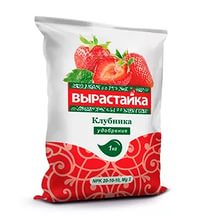 Вырастайка Клубника 1кг (БиоМастер) /25