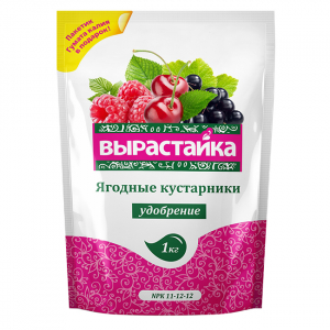 Вырастайка Ягодные кустарники 1кг (БиоМастер) /25