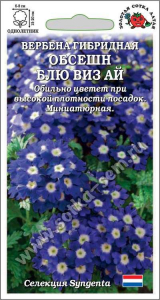 Вербена Обсешн Блю Виз Ай /Сотка/ 5шт/ h-20см, d-8см/*500