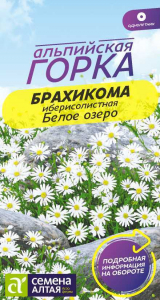 Брахикома Белое озеро/Сем Алт/цп 0,05 гр. Альпийская горка НОВИНКА