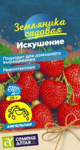 Ягода Земляника Искушение ремонтантная/Сем Алт/цп 5 шт. НОВИНКА