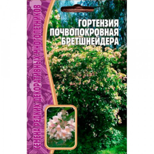 Гортензия почвопокровная Бретшнейдера (20 шт) Редкие Овощи/10